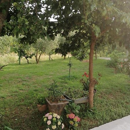 Apartman Petovic Kotor Bagian luar foto