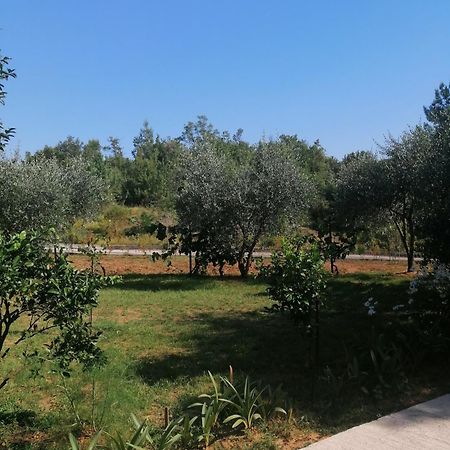Apartman Petovic Kotor Bagian luar foto