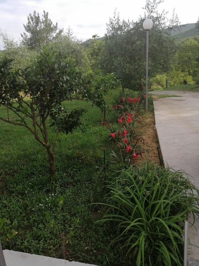 Apartman Petovic Kotor Bagian luar foto