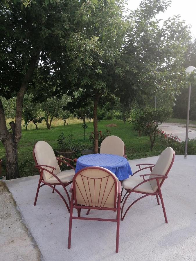 Apartman Petovic Kotor Bagian luar foto