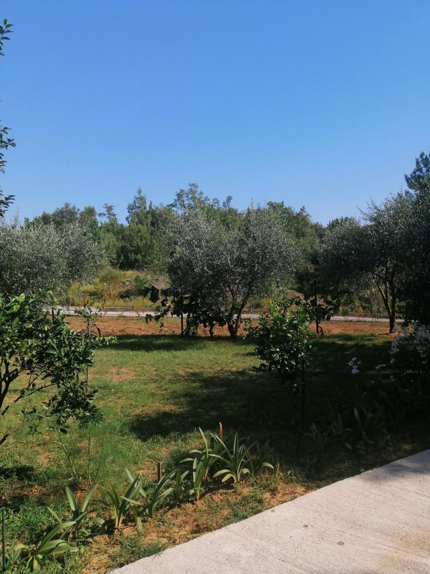 Apartman Petovic Kotor Bagian luar foto